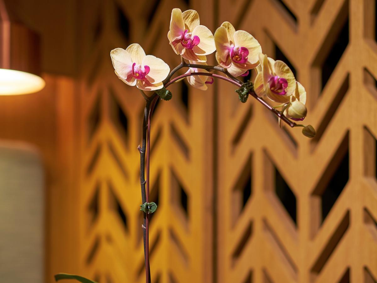 Hotel Oasia Downtown, By Far East Hospitality Singapura